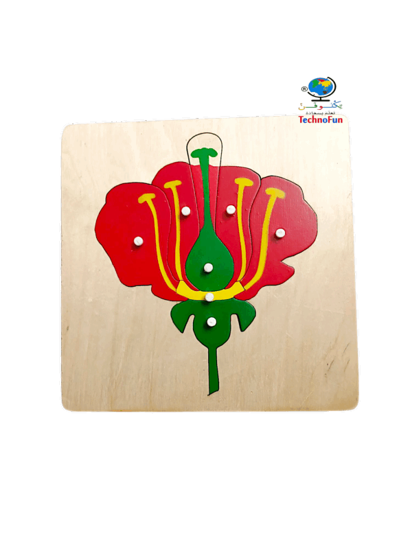بازل اجزاء الوردة (الزهرة) منتسوري Montessori flower  parts puzzle