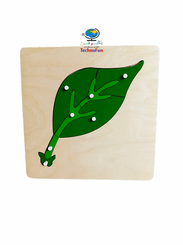 بازل اجزاء ورقة الشجر منتسوري Montessori leaf puzzle parts