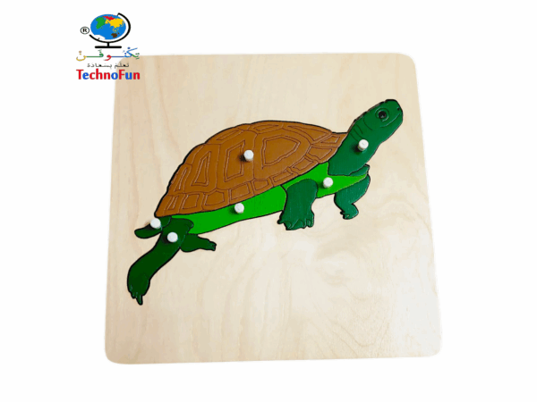 بازل أجزاء جسم السلحفاة منتسوري Montessori turtle puzzle parts