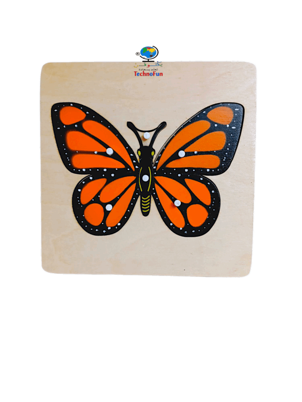 بازل اجزاء جسم الفراشة منتسوري Montessori butterfly body 🦋 parts puzzle