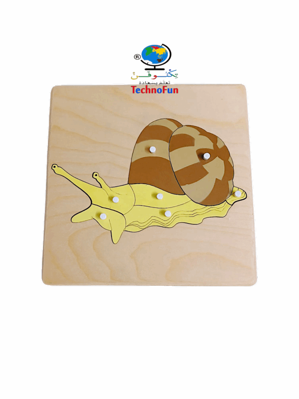 بازل اجزاء جسم الحلزون منتسوري Montessori snail body parts puzzle