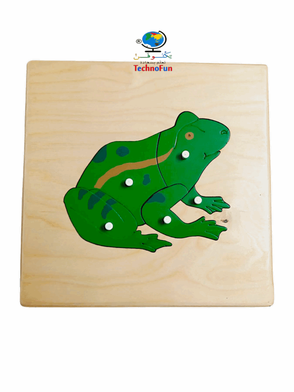 بازل أجزاء جسم الضفدع بالهيكل العظمي Montessori frog 🐸 body parts puzzle with skeleton